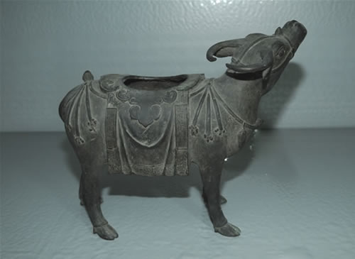 ����ţ����