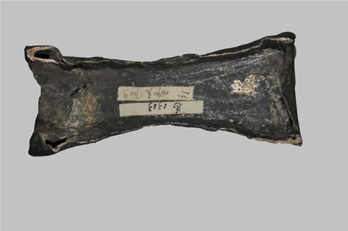 1313��6���ƴ�������