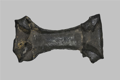 1314��6���ƴ�����������